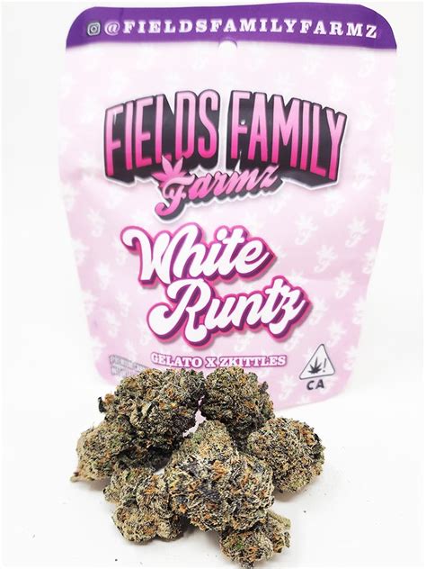 white runtz bags fake|runtz strain.